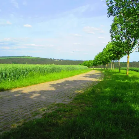 Apartment Ruhig Wohnen - Einfache Auf Dem Bauernhof *